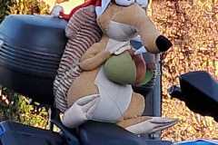 IMG-20241223-WA0201